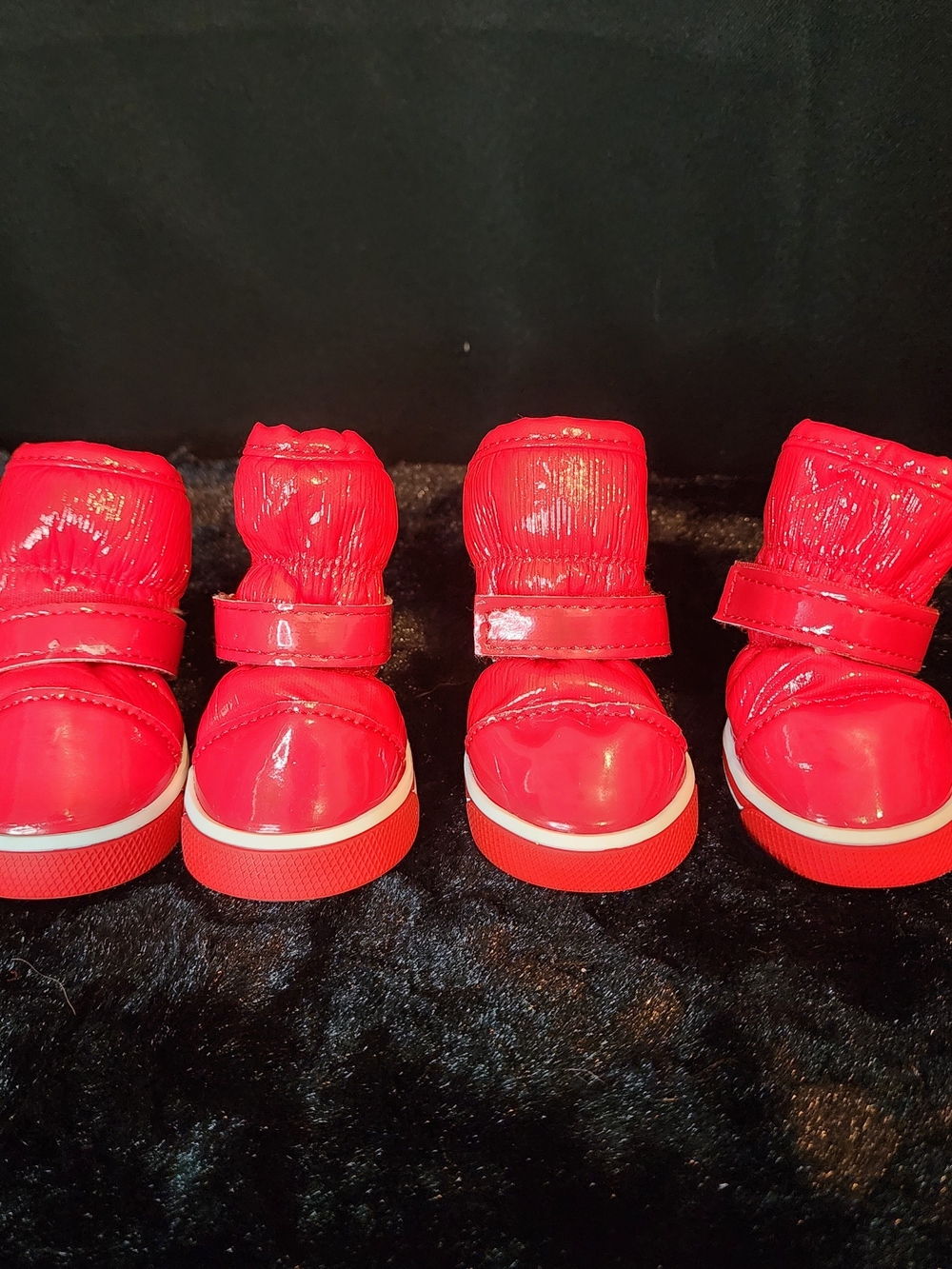 Hola Red Size 5 Dog Rain Boots